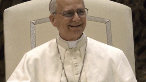 Pope_Leo_XIV_2_(cropped)