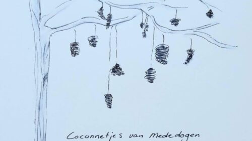 Coconnetje